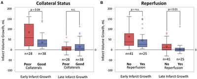 Predictors of Early and Late Infarct Growth in DEFUSE 3